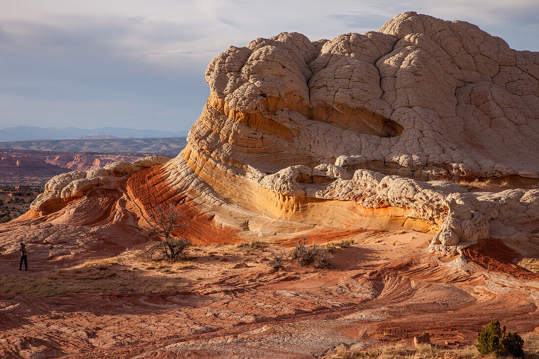 Lollipop Rock, a sandstone formation in the White Pocket Recreation Area, Vermilion Cliffs National Monument, Arizona.