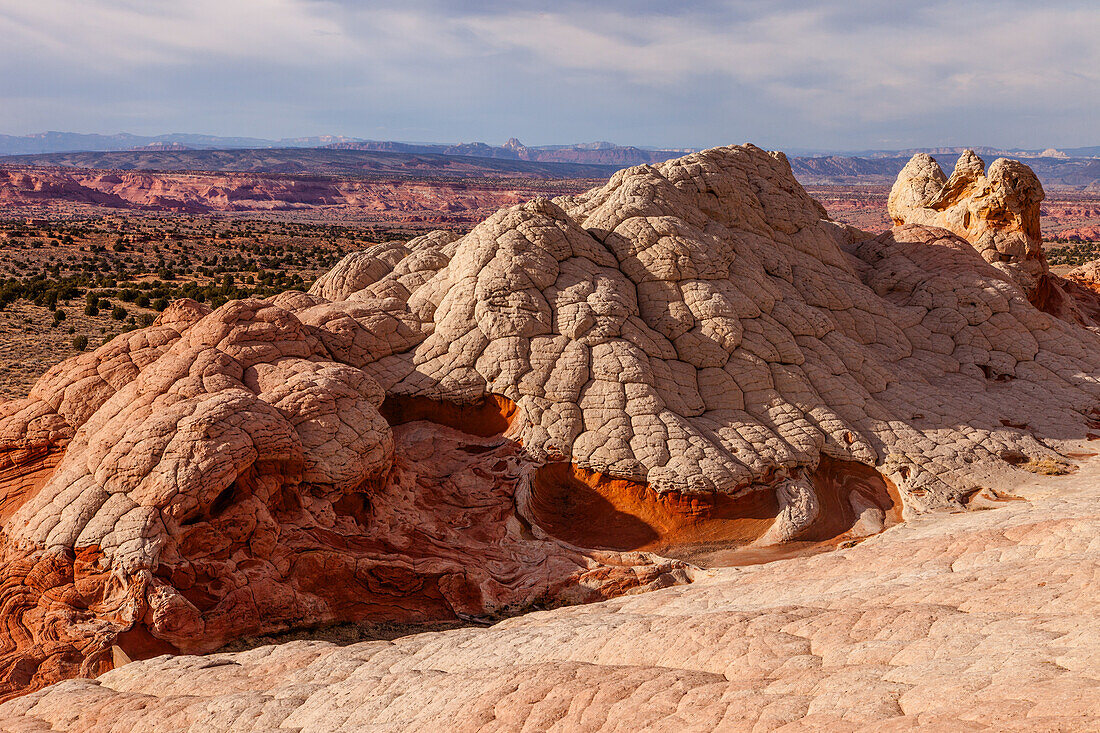 White pillow rock or brain rock sandstone in the White Pocket Recreation Area, Vermilion Cliffs National Monument, Arizona. A form of Navajo sandstone.