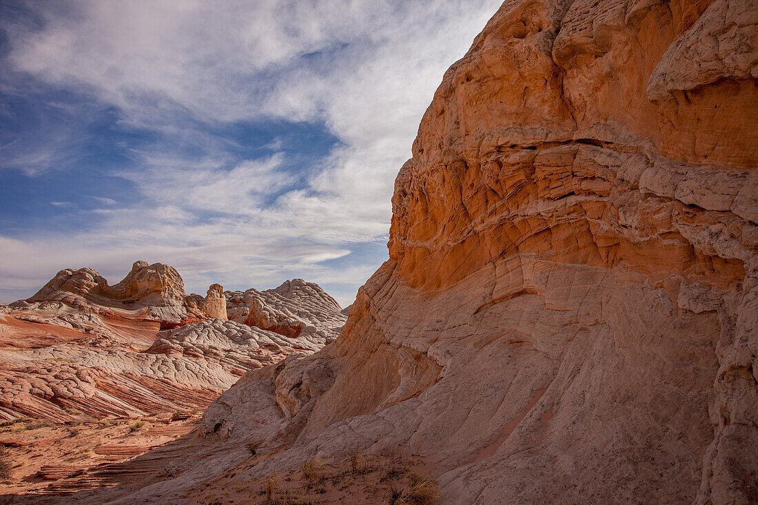 Eroded white pillow rock or brain rock sandstone in the White Pocket Recreation Area, Vermilion Cliffs National Monument, Arizona. The Citadel is at left. Both the red and white are Navajo sandstone but the red contains more iron oxide.
