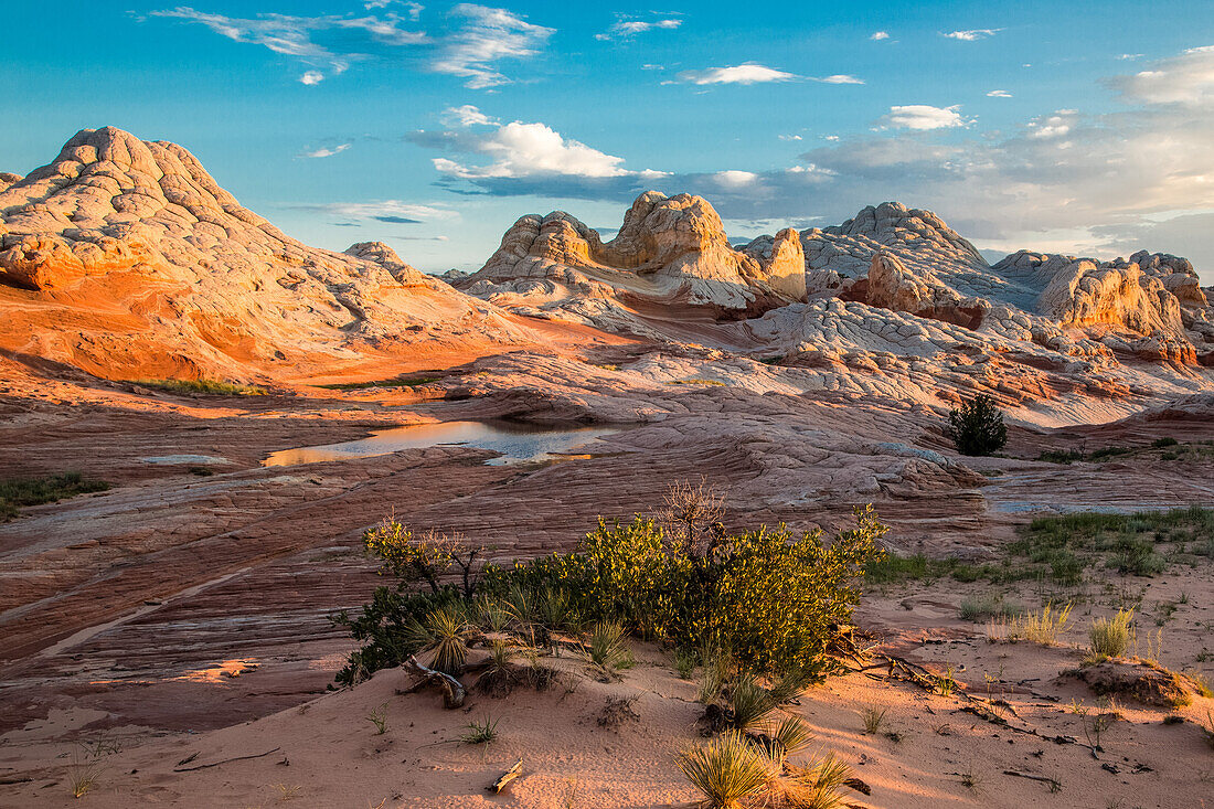 Eroded white pillow rock or brain rock sandstone in the White Pocket Recreation Area, Vermilion Cliffs National Monument, Arizona. Both the red and white are Navajo sandstone but the red contains more iron oxide.