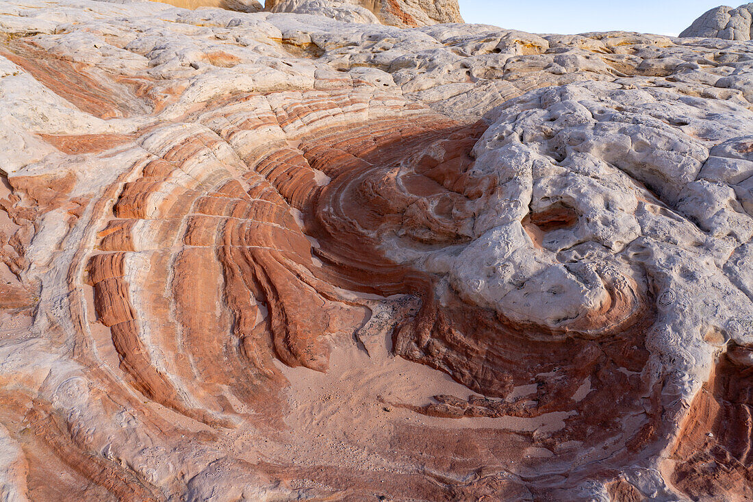 Eroded white pillow rock or brain rock sandstone in the White Pocket Recreation Area, Vermilion Cliffs National Monument, Arizona. Both the red and white are Navajo sandstone but the red has more iron oxide in it.