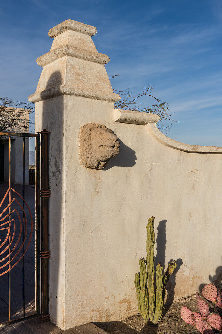 Ein Kaktus und ein in Stein gehauener Löwenkopf an einem Tor in der Mauer der Mission San Xavier del Bac, Tucson Arizona