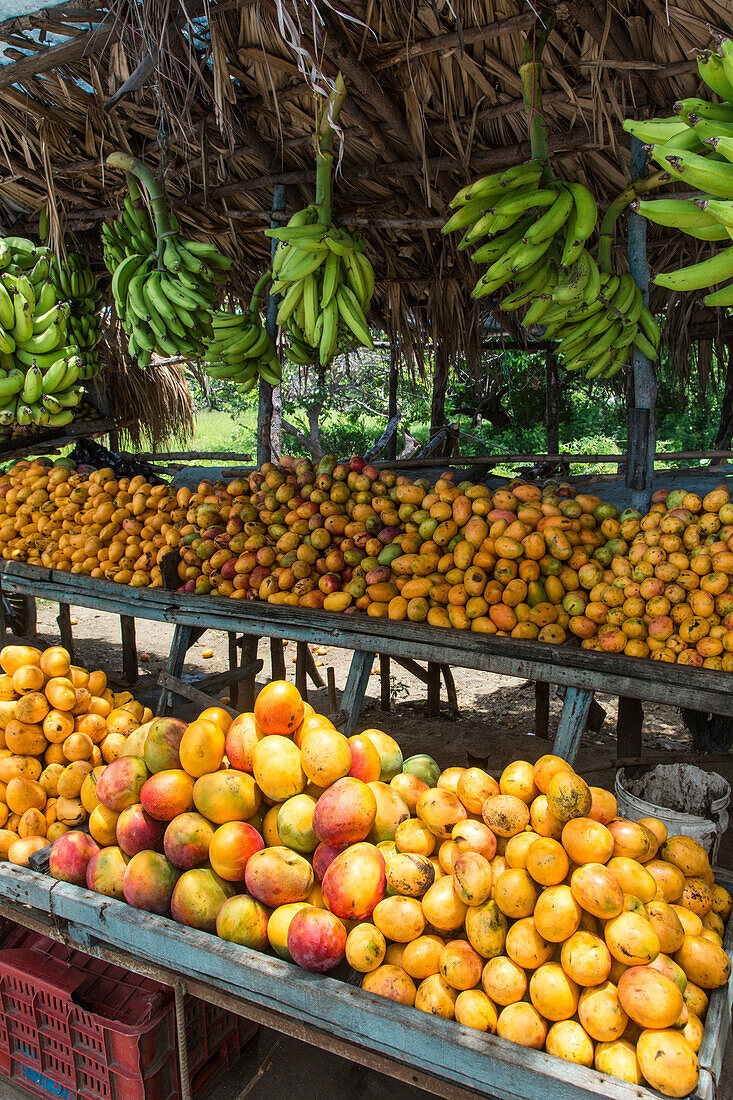 Mangos und Bananen zum Verkauf an einem Obststand am Straßenrand in Bani, Dominikanische Republik