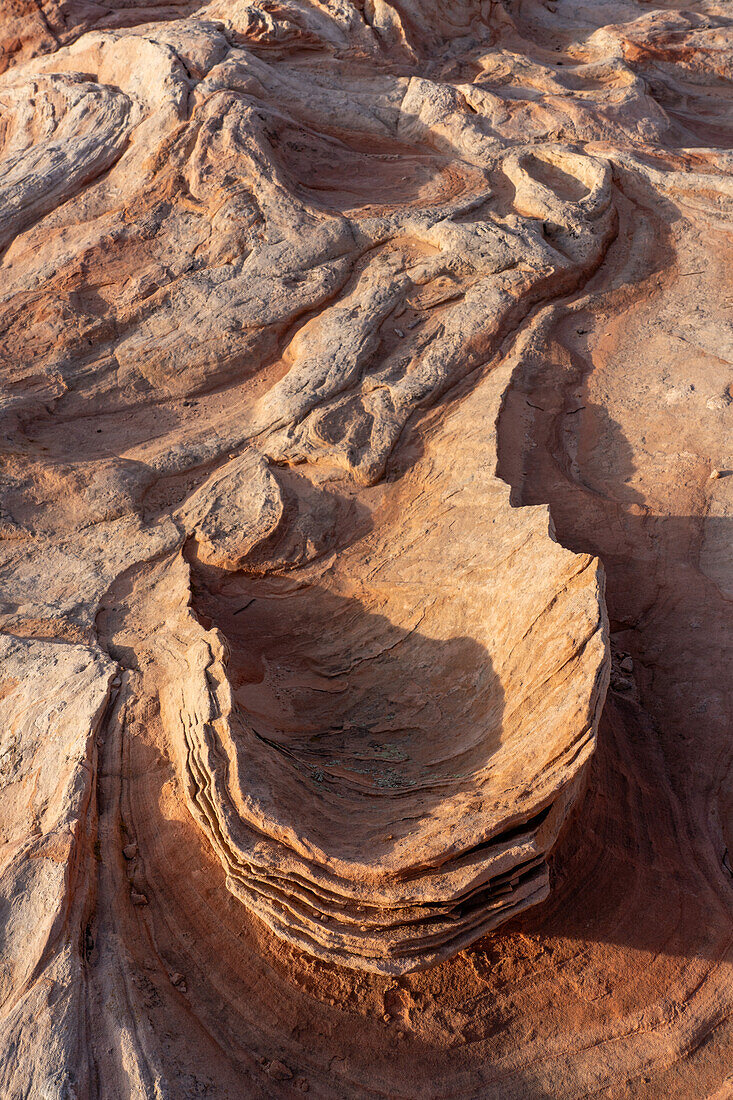 Eroded Navajo sandstone formation in the White Pocket Recreation Area, Vermilion Cliffs National Monument, Arizona.