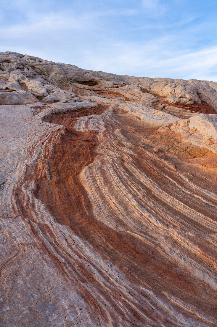 Eroded white pillow rock or brain rock sandstone in the White Pocket Recreation Area, Vermilion Cliffs National Monument, Arizona. Both the red and white are Navajo sandstone but the red has more iron oxide in it.