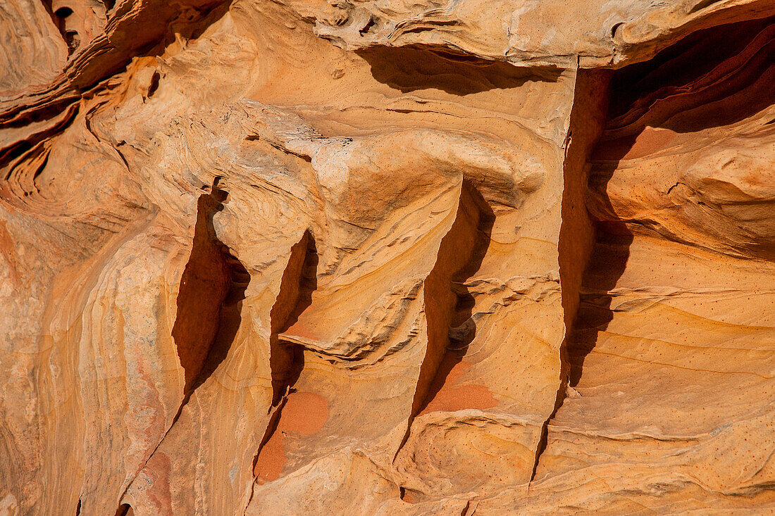 Sehr dünne, zerbrechliche Sandsteinrippen in Navajo-Sandsteinformationen. South Coyote Buttes, Vermilion Cliffs National Monument, Arizona. Geologisch gesehen werden diese Rippen als Verdichtungsbänder bezeichnet.