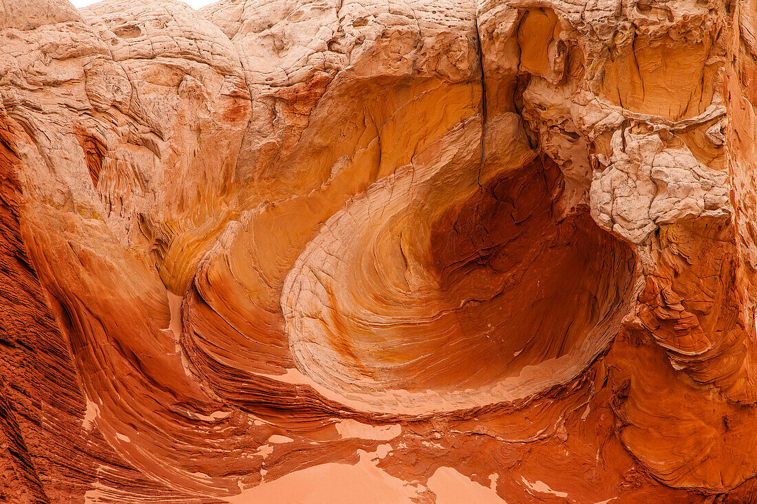 Eroded Navajo sandstone formations in the White Pocket Recreation Area, Vermilion Cliffs National Monument, Arizona.