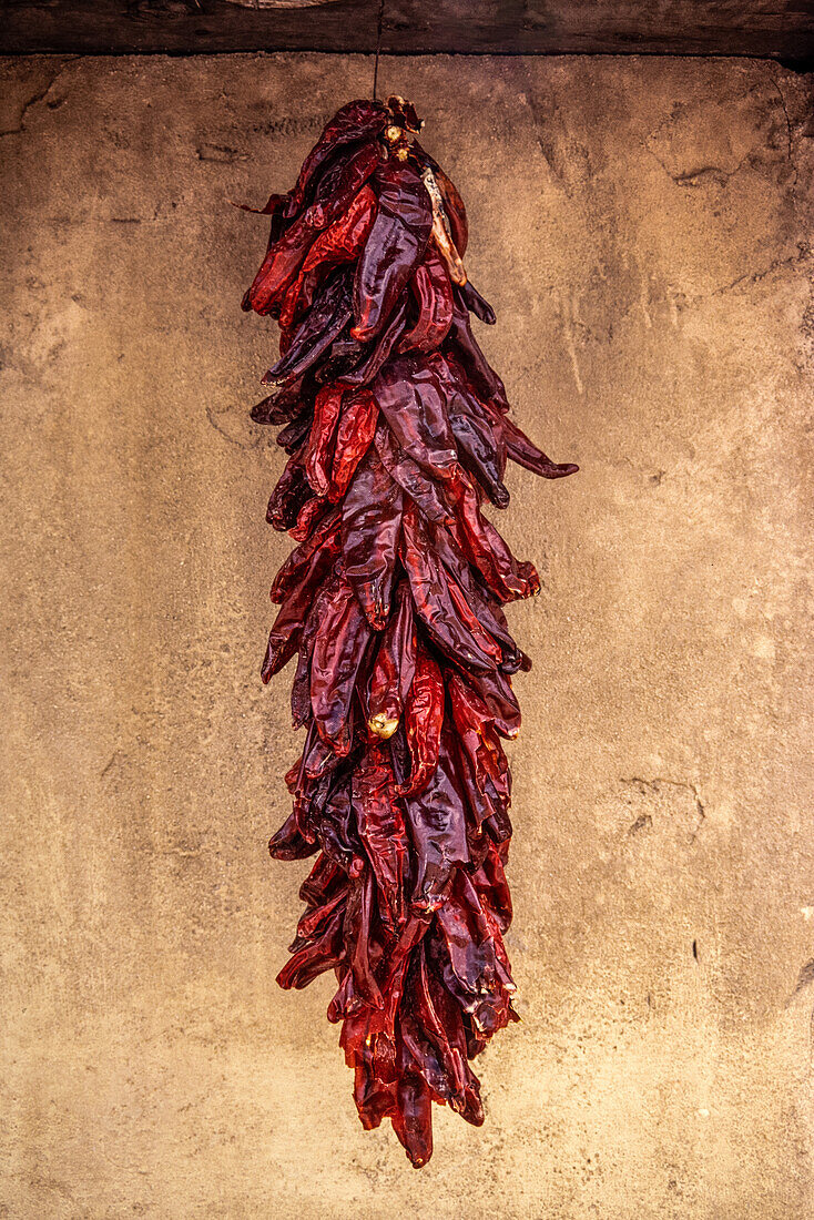 A string of dried chili peppers hanging on a wall in Arizona.