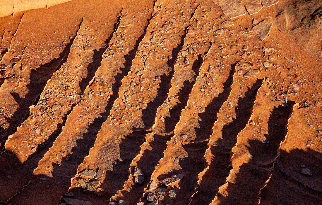 Very thin, fragile sandstone fins in Navajo sandstone formations. South Coyote Buttes, Vermilion Cliffs National Monument, Arizona. Geologically, these are pure compaction bands.
