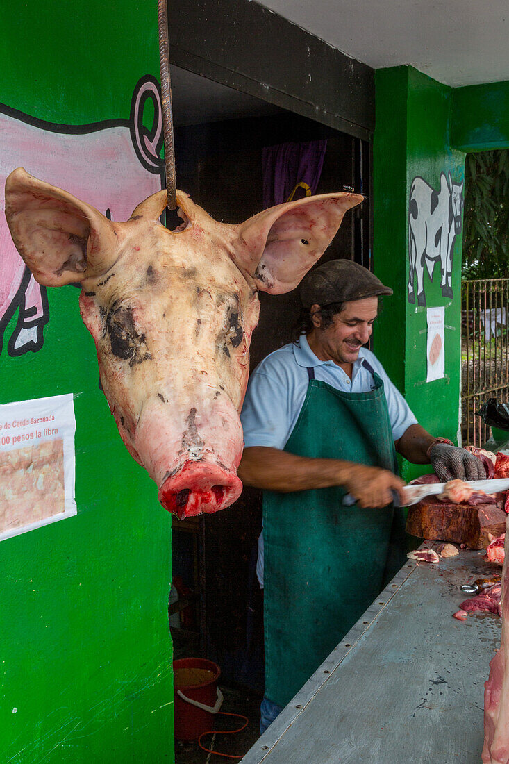 A pig head on a meat hook at an open air butcher shop in Bonao, Dominican Republic. The butcher is cutting in the background.