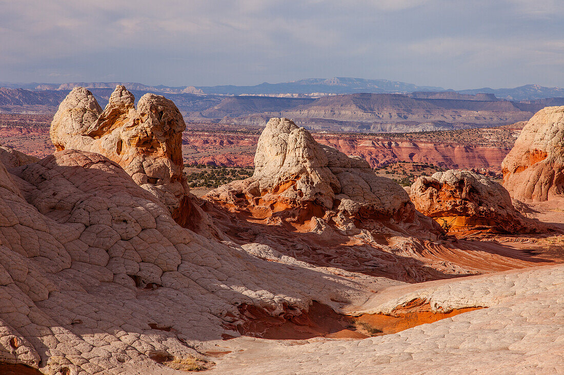 Erodierter weißer Pillow Rock oder Brain Rock Sandstein in der White Pocket Recreation Area, Vermilion Cliffs National Monument, Arizona. Sowohl der rote als auch der weiße Sandstein sind Navajo-Sandstein, aber der rote hat mehr Eisenoxidanteil