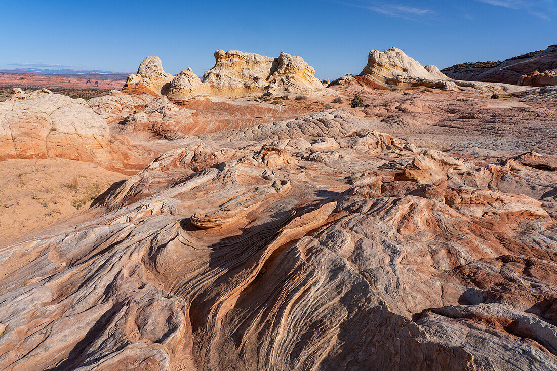 Eroded Navajo sandstone formations in the White Pocket Recreation Area, Vermilion Cliffs National Monument, Arizona. Lollipop Rock is in the background.