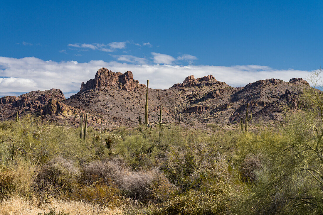 Die Superstition Mountain-Kette, vom Lost Dutchman State Park aus gesehen, Apache Junction, Arizona