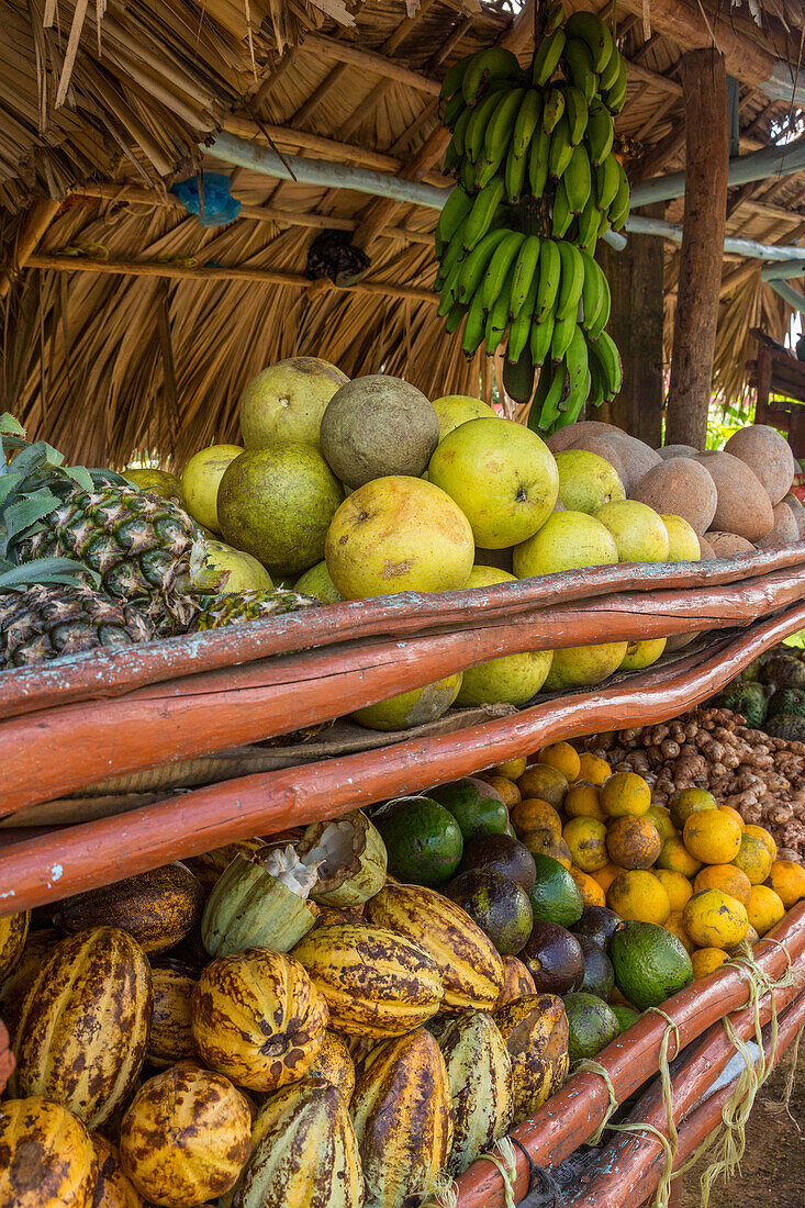 Obst und Gemüse zum Verkauf an einem Straßenstand in Samana, Dominikanische Republik, einschließlich Kakaobohnenschoten unten links