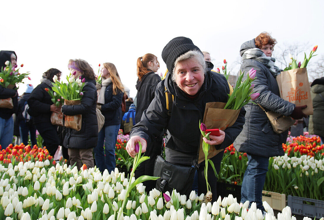 Tausende von Menschen pflückten am 20. Januar 2024 in Amsterdam, Niederlande, während des nationalen Tulpentages auf dem Museumsplatz in der Nähe des Rijskmuseums kostenlos Tulpen. Der heutige Tag markiert den offiziellen Beginn der Tulpensaison mit einem speziellen Tulpengarten, in dem die Menschen kostenlos Tulpen pflücken können. In diesem Jahr wird der 12. Jahrestag des von den niederländischen Tulpenzüchtern organisierten Pflückgartens besonders gefeiert. Der Amsterdamer Museumsplatz ist mit rund 200.000 Tulpen gefüllt. Diese Tulpen werden speziell zu einem riesigen temporären Garten arra