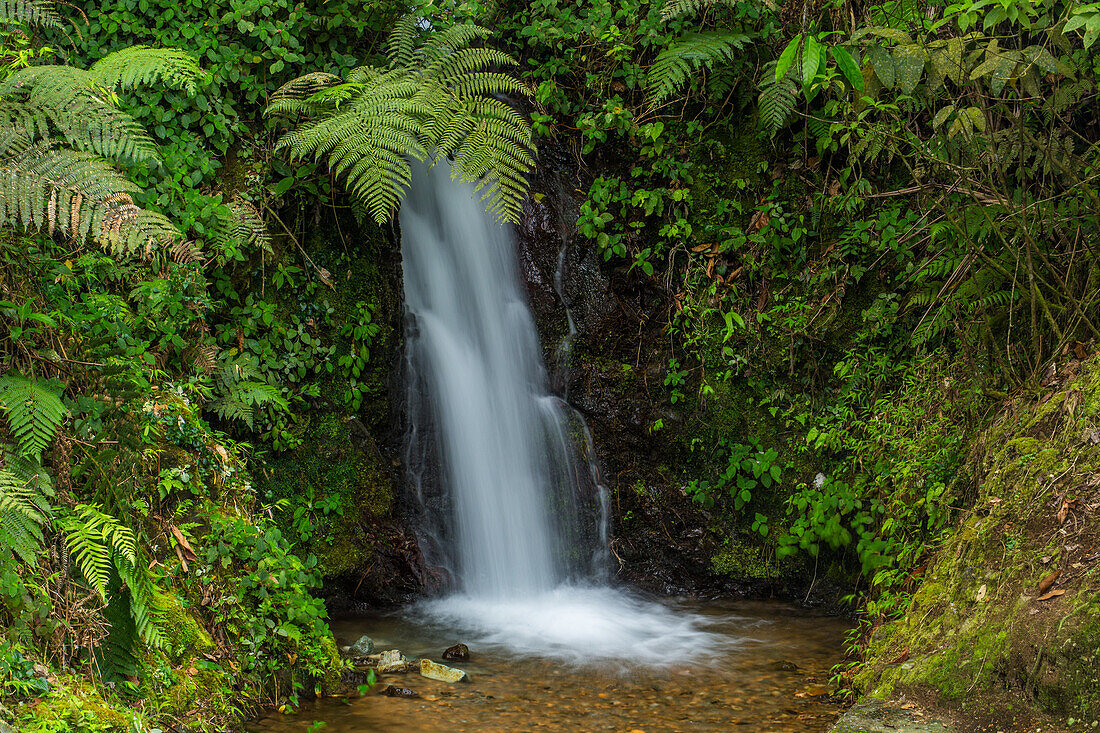 Ein kleiner Wasserfall in den Bergen bei Constanza in der Dominikanischen Republik