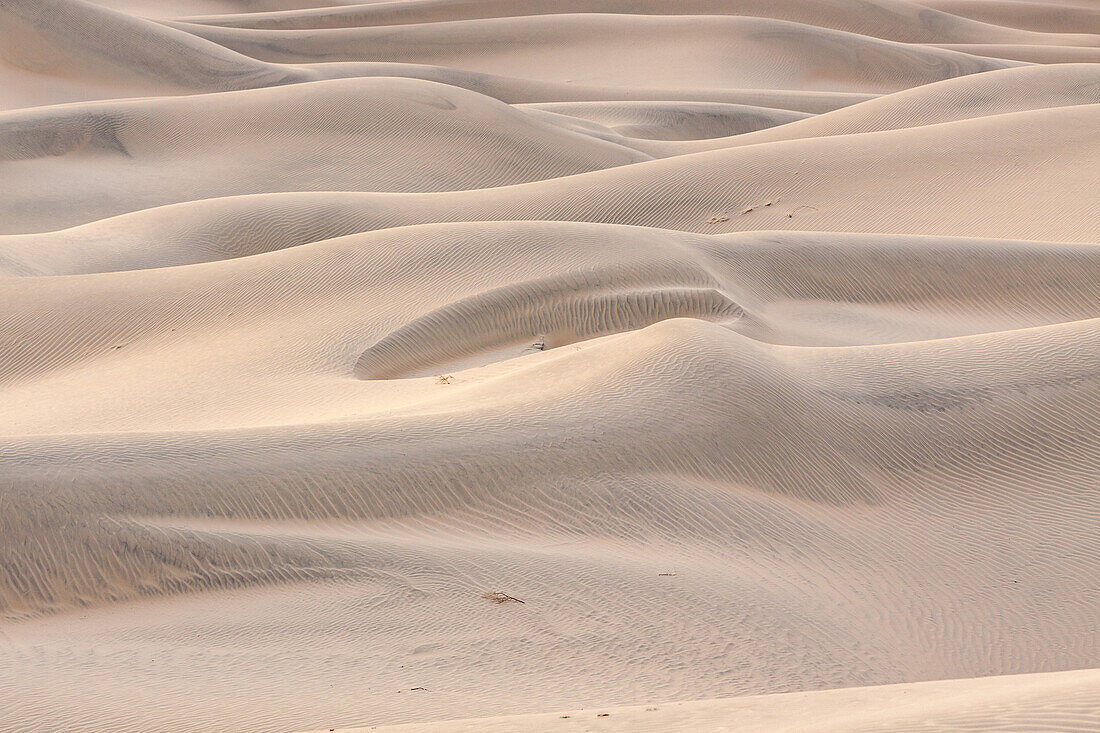 Pastellfarbenes Licht auf den Mesquite Flat Sanddünen nach Sonnenuntergang in der Mojave-Wüste im Death Valley National Park, Kalifornien