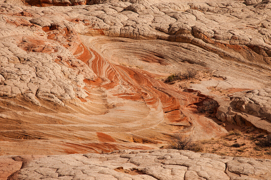 Erodierte Navajo-Sandsteinformationen in der White Pocket Recreation Area, Vermilion Cliffs National Monument, Arizona