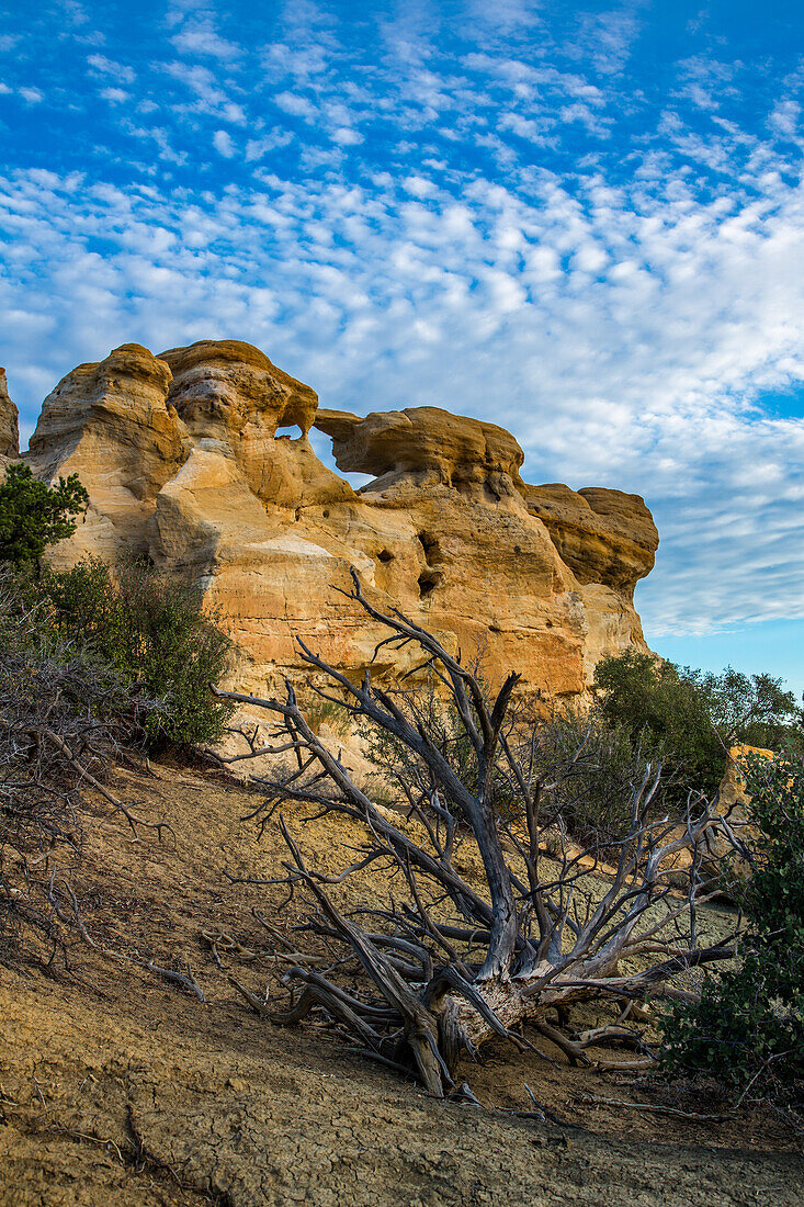 Blue sky and clouds over Graceful Arch in a remote desert near Aztec in northwestern New Mexico.