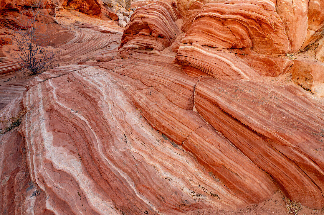 Eroded Navajo sandstone formations in the White Pocket Recreation Area, Vermilion Cliffs National Monument, Arizona.