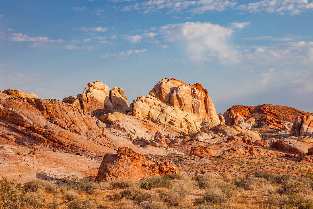 Desert plants and colorful eroded Aztec sandstone formations in Valley of Fire State Park in Nevada.