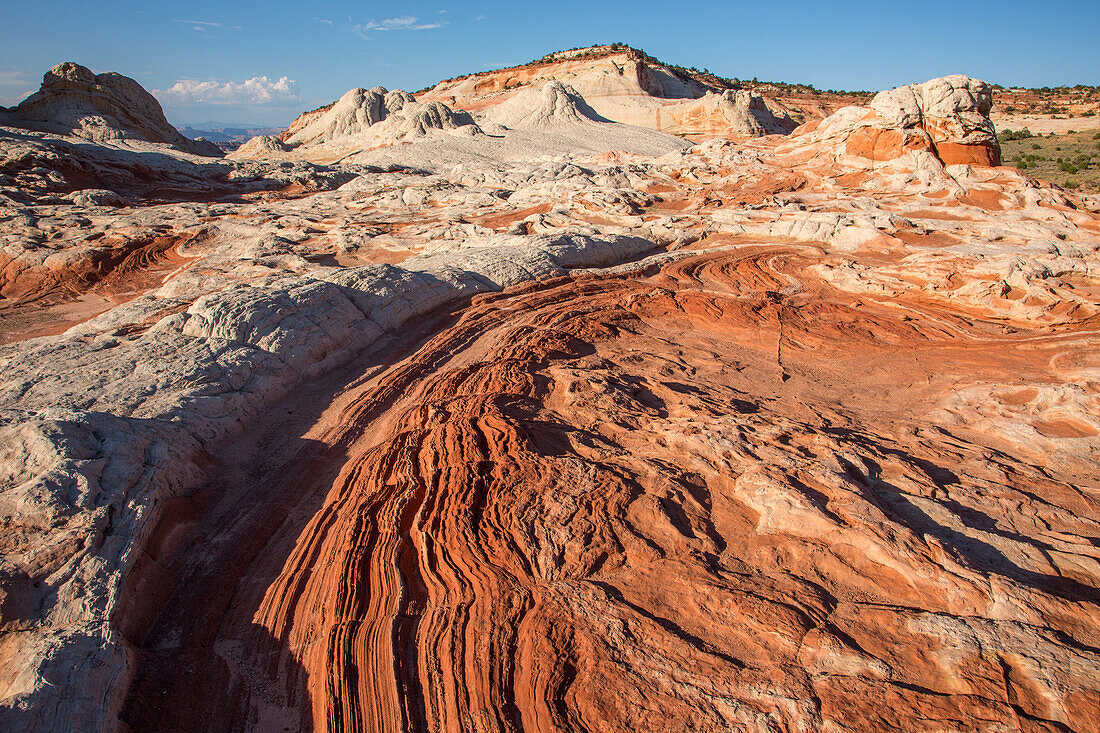 Eroded white pillow rock or brain rock sandstone in the White Pocket Recreation Area, Vermilion Cliffs National Monument, Arizona. Both the red and white are Navajo sandstone but the red contains more iron oxide.