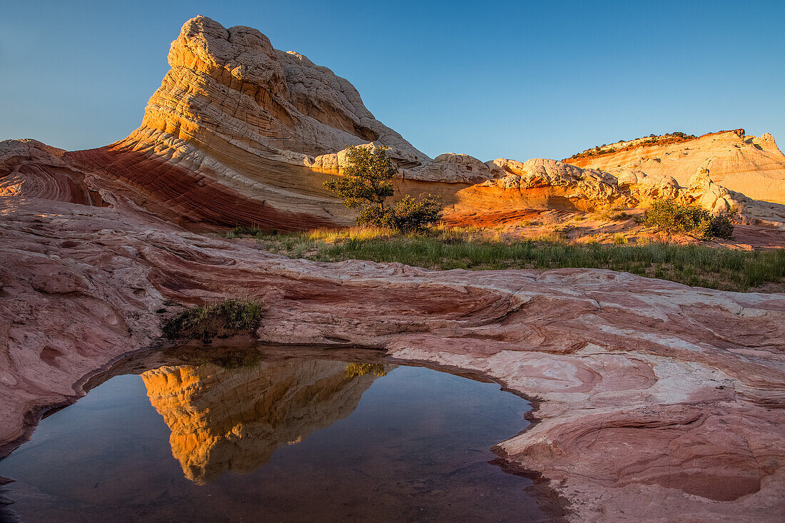 Lollipop Rock reflected in an ephemeral pool in the White Pocket, Vermilion Cliffs National Monument, Arizona.