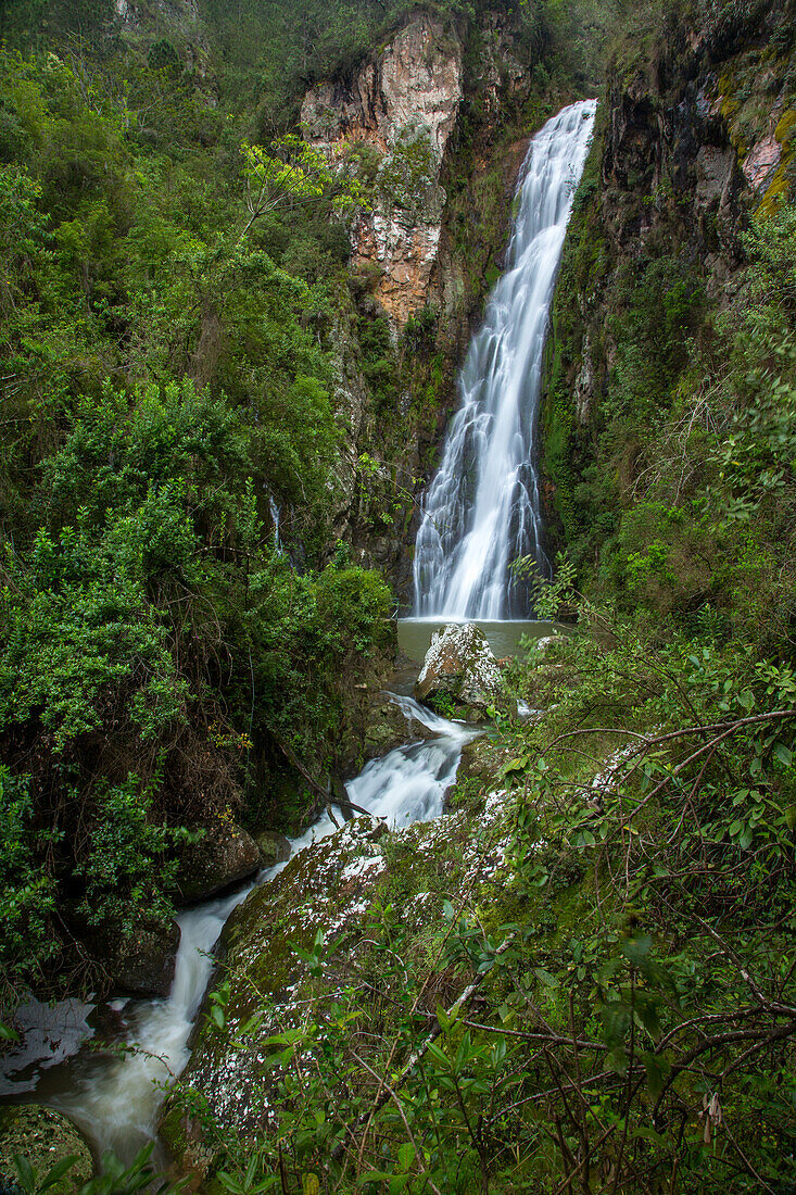 Der Wasserfall Salto de Aguas Blancas in den Bergen des Nationalparks Valle Nuevo in der Dominikanischen Republik