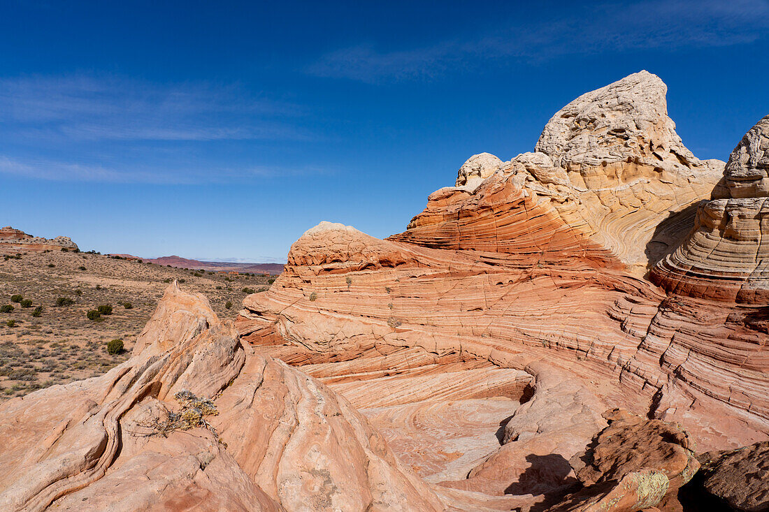 Erodierter Navajo-Sandstein in der White Pocket Recreation Area, Vermilion Cliffs National Monument, Arizona. Das Bild zeigt ein gutes Beispiel für die Querschichtung in den Sandsteinschichten.