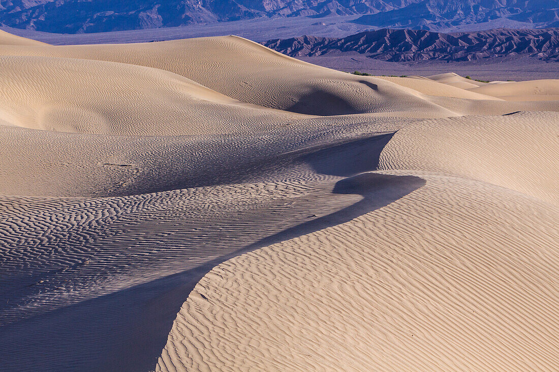 Ripples in the Mesquite Flat sand dunes in Death Valley National Park in the Mojave Desert, California.