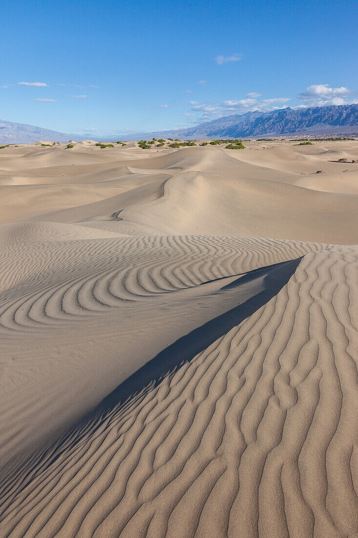 Ripples in the Mesquite Flat sand dunes in Death Valley National Park in the Mojave Desert, California. Black Mountains behind