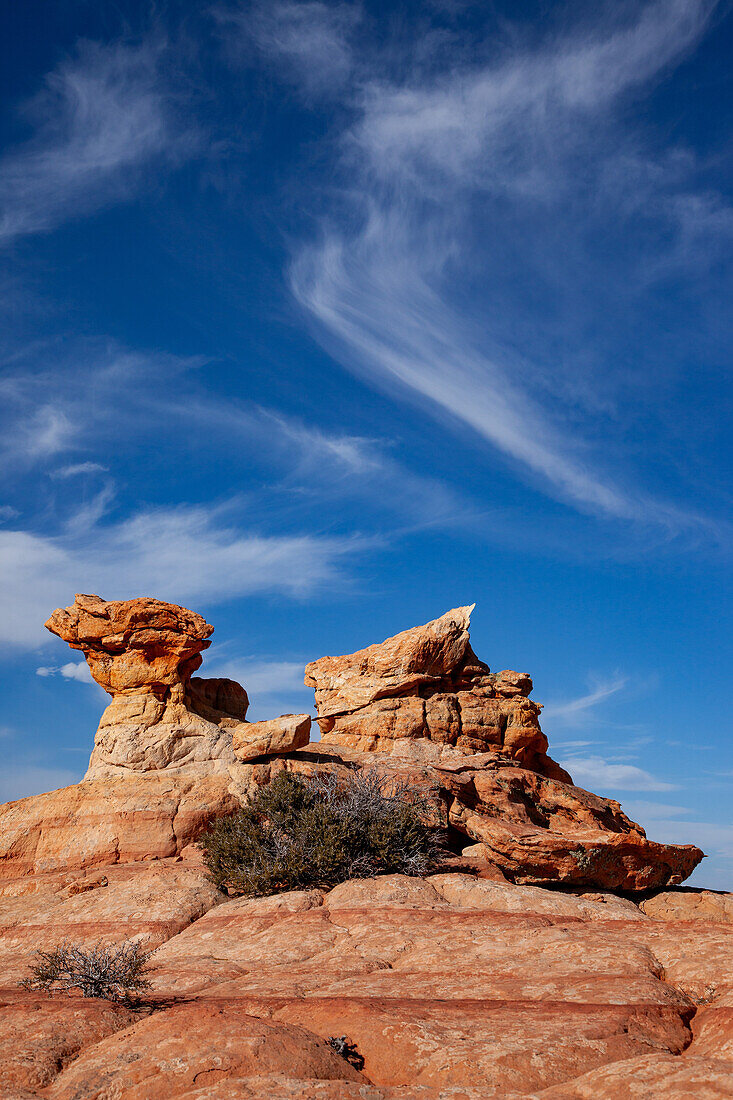 Eroded Navajo sandstone formations in South Coyote Buttes, Vermilion Cliffs National Monument, Arizona.