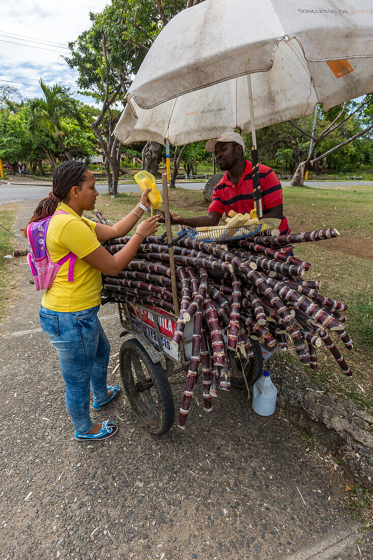 Ein haitianischer Einwanderer verkauft Zuckerrohr von einem fahrbaren Wagen in einem Park in Santo Domingo, Dominikanische Republik