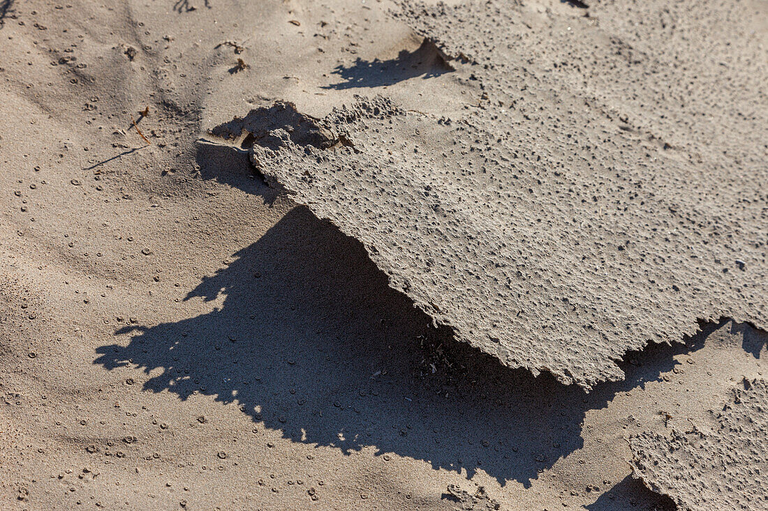 A crust on the sandy desert floor in Mesquite Flat in Death Valley National Park in the Mojave Desert, California.