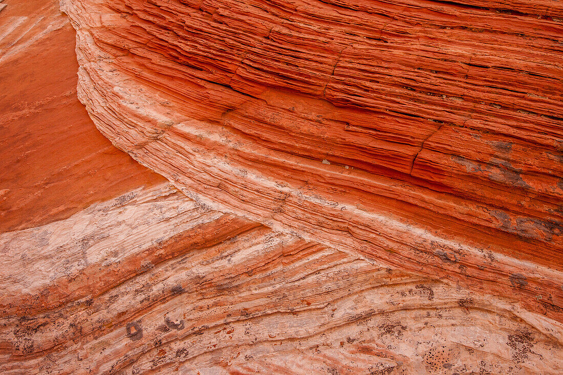 Eroded Navajo sandstone formations in the White Pocket Recreation Area, Vermilion Cliffs National Monument, Arizona. Cross-bedding is shown here.