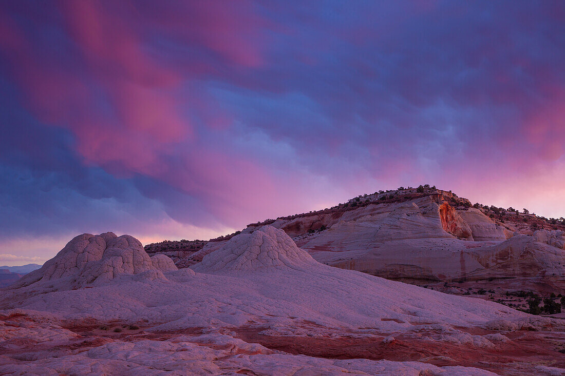 Sonnenaufgangslicht auf Mammatuswolken über der White Pocket Recreation Area im Vermilion Cliffs National Monument in Arizona