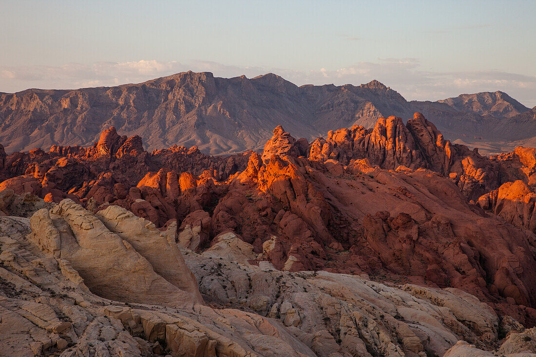 Red and white Aztec sandstone in Fire Canyon at sunrise in Valley of Fire State Park in Nevada. The white sandstone is called the Silica Dome. Its sand crystals are almost pure silica.