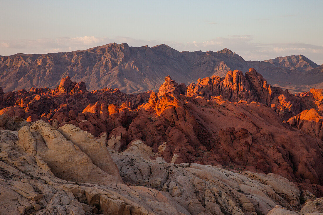 Roter und weißer Azteken-Sandstein im Fire Canyon bei Sonnenaufgang im Valley of Fire State Park in Nevada. Der weiße Sandstein wird Silica Dome genannt. Seine Sandkristalle sind fast reine Kieselsäure.