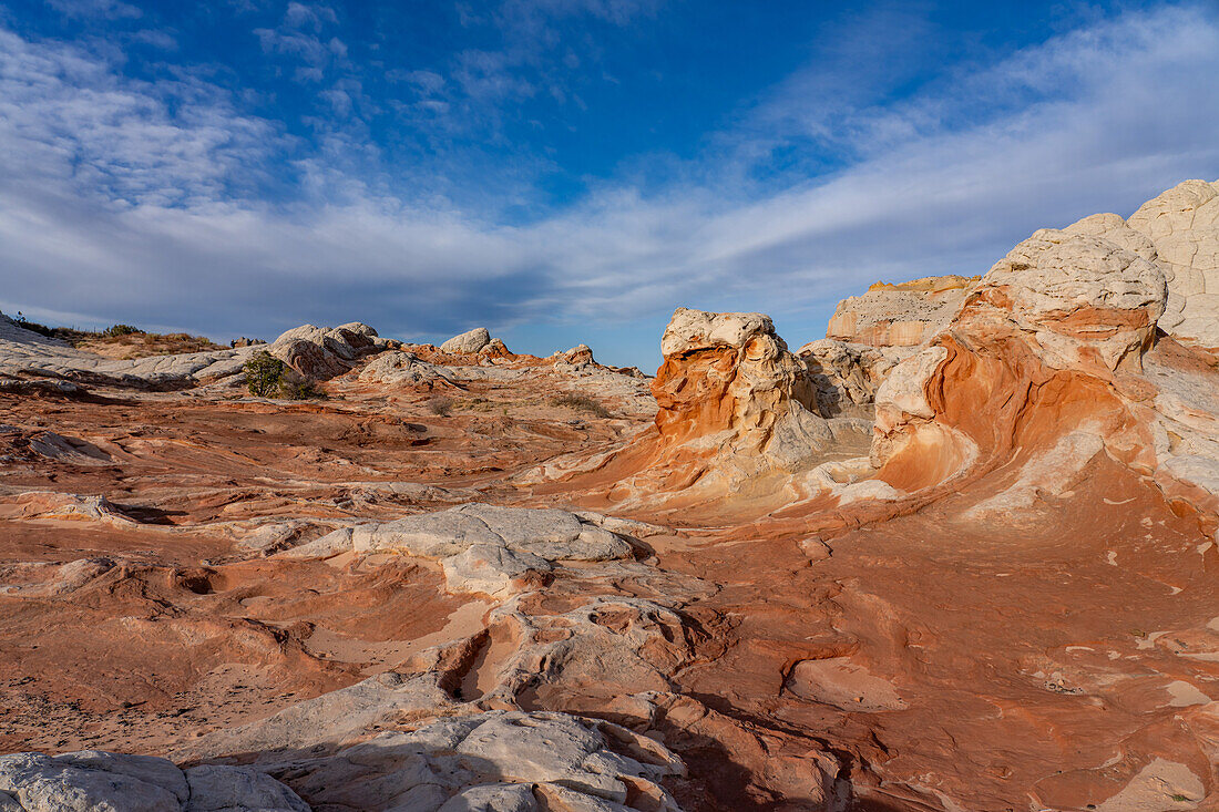 Erodierter weißer Pillow Rock oder Brain Rock Sandstein in der White Pocket Recreation Area, Vermilion Cliffs National Monument, Arizona. Sowohl der rote als auch der weiße Sandstein sind Navajo-Sandstein, aber der rote hat mehr Eisenoxidanteil