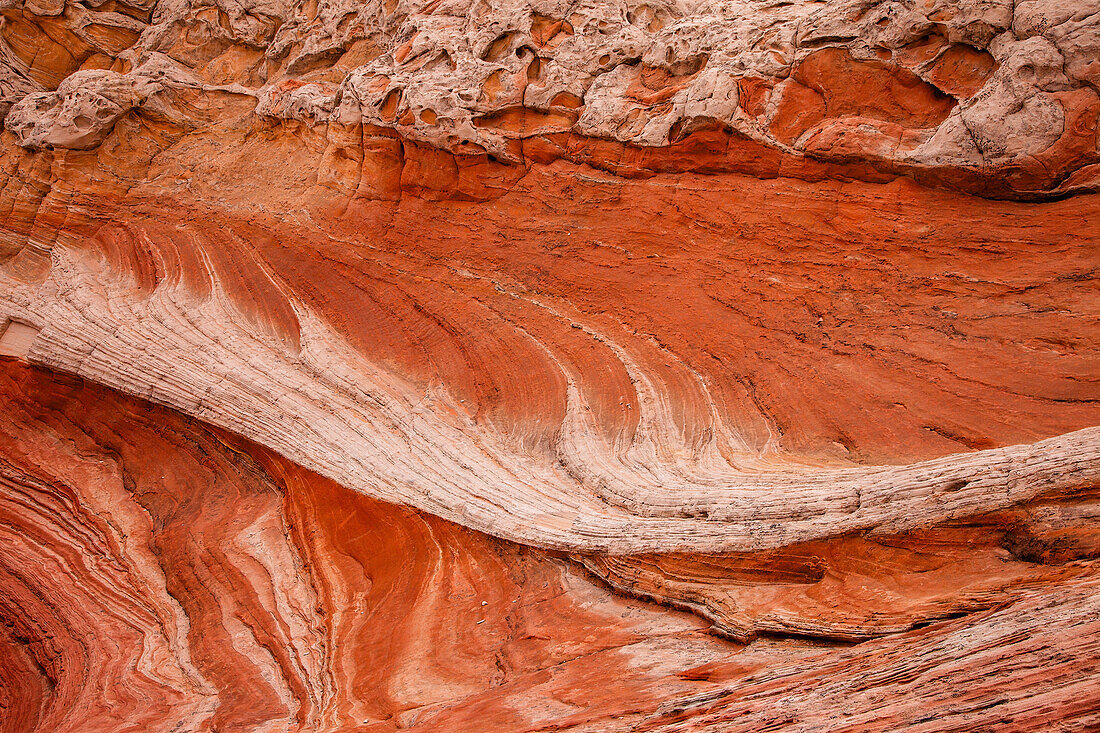 Eroded Navajo sandstone formations in the White Pocket Recreation Area, Vermilion Cliffs National Monument, Arizona. Cross-bedding is shown here.