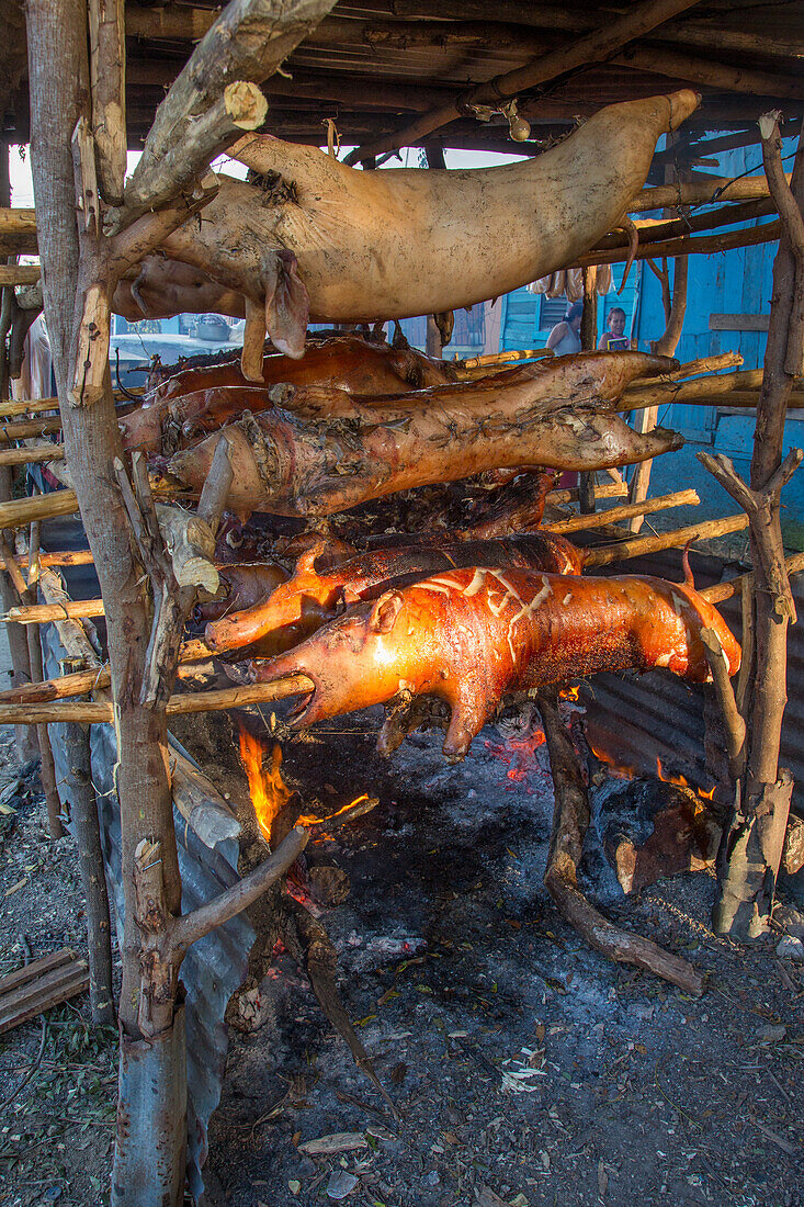 Roasting whole pigs outside on wooden spits over an open wood fire by a roadside in Haina, Dominican Republic.