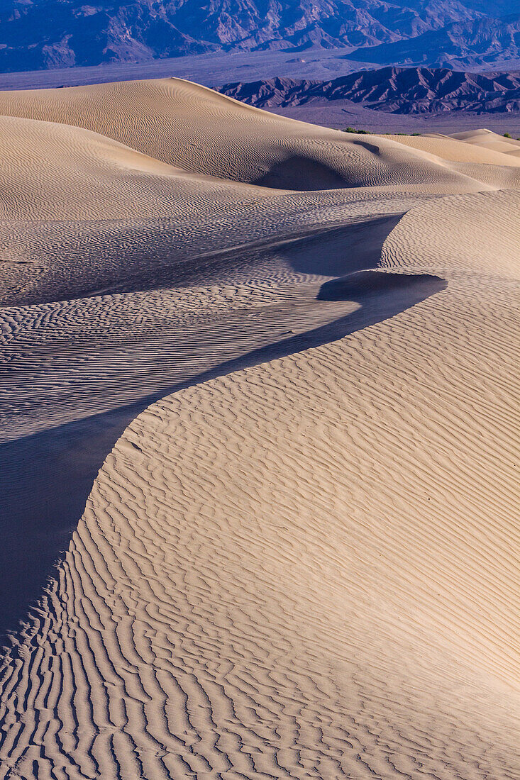 Ripples in the Mesquite Flat sand dunes in Death Valley National Park in the Mojave Desert, California.