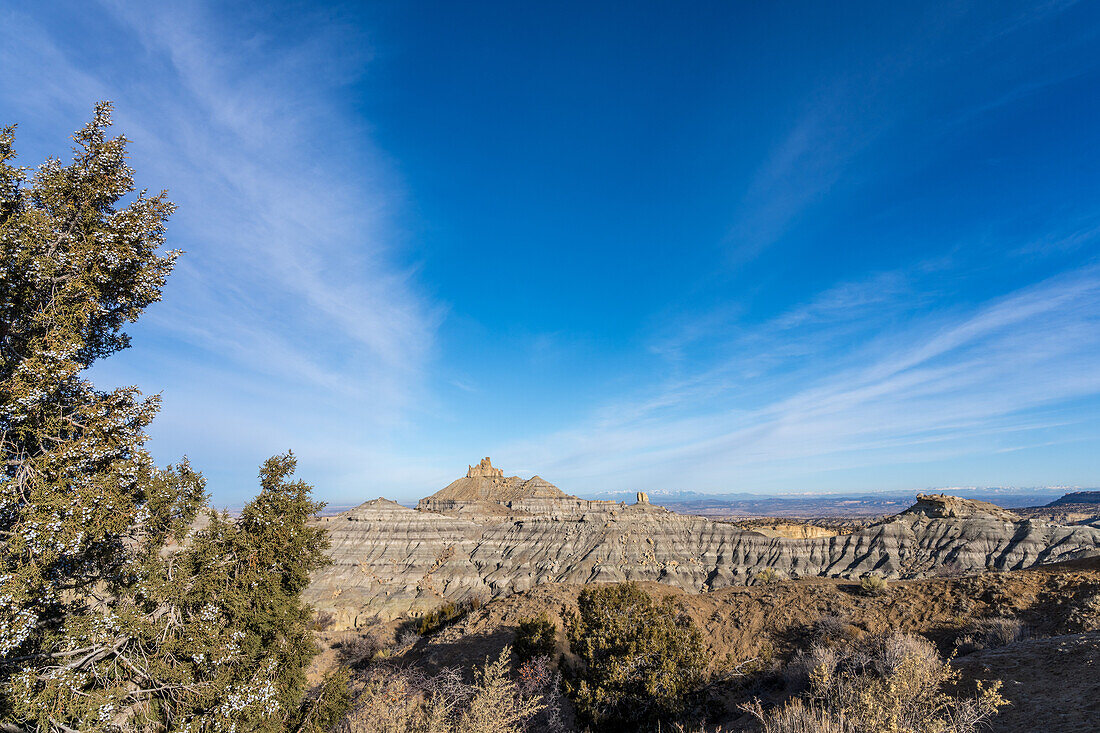 Angel Peak Scenic Area near Bloomfield, New Mexico. A juniper tree with Angel Peak behind with the Kutz Canyon badlands below.