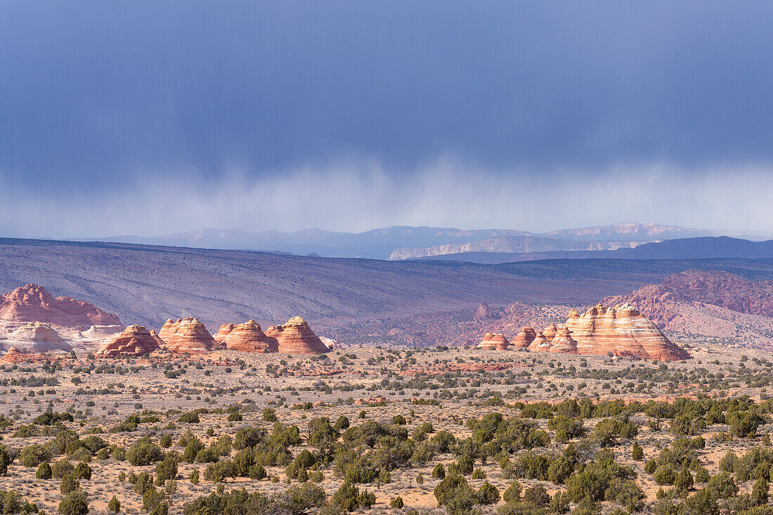 Blick auf North & South Teepees in North Coyote Buttes, vom Chess Queen Gebiet im Vermilion Cliffs National Monument in Arizona