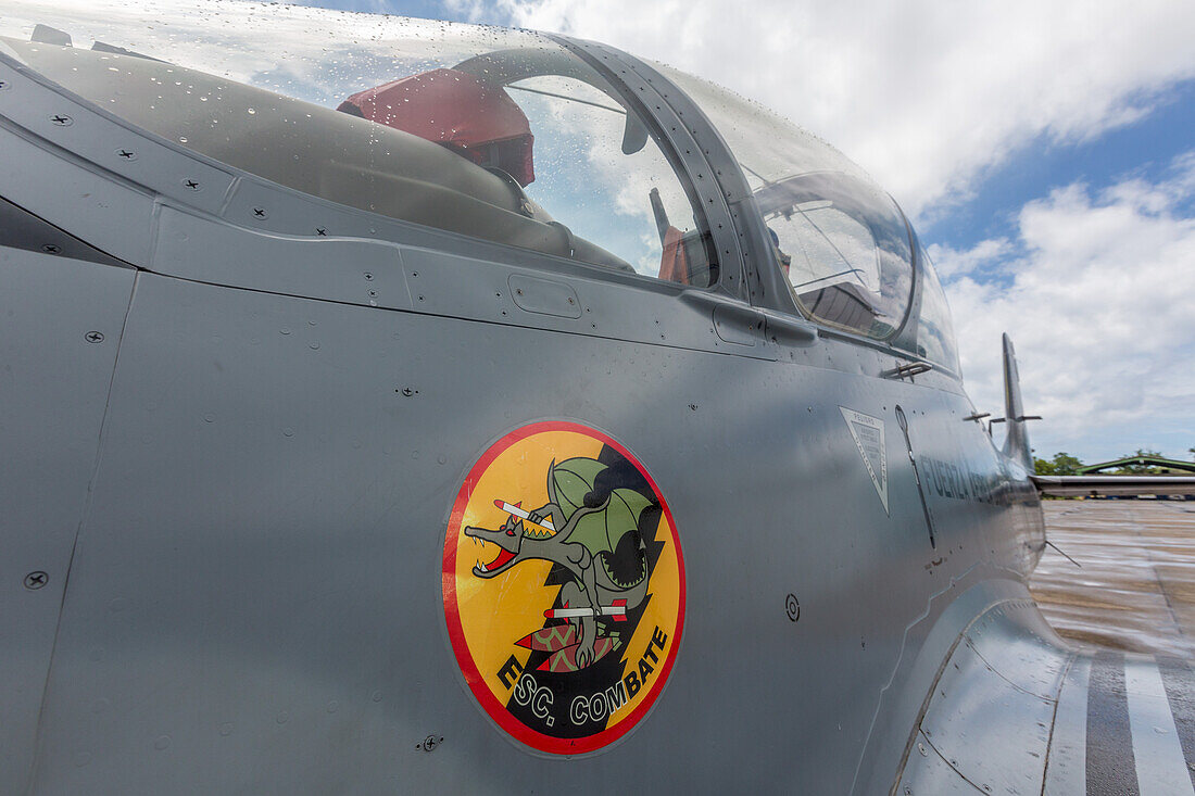 Drachenemblem des Kampfgeschwaders auf einem Super Tucano-Kampfflugzeug auf dem Luftwaffenstützpunkt San Isidro in der Dominikanischen Republik