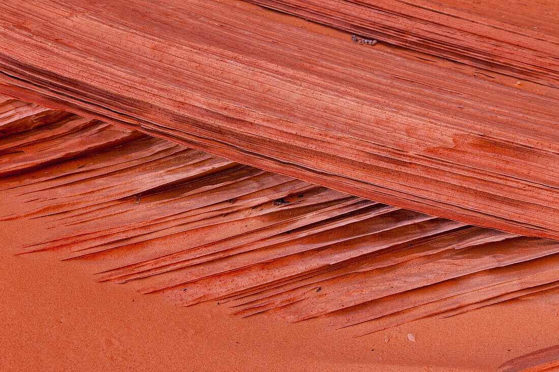 Cross-bedding patterns in the Navajo sandstone in South Coyote Buttes, Vermilion Cliffs National Monument, Arizona.