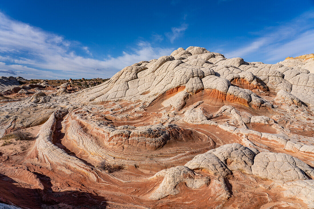 Erodierter weißer Pillow Rock oder Brain Rock Sandstein in der White Pocket Recreation Area, Vermilion Cliffs National Monument, Arizona. Sowohl der rote als auch der weiße Sandstein sind Navajo-Sandstein, aber der rote hat mehr Eisenoxidanteil