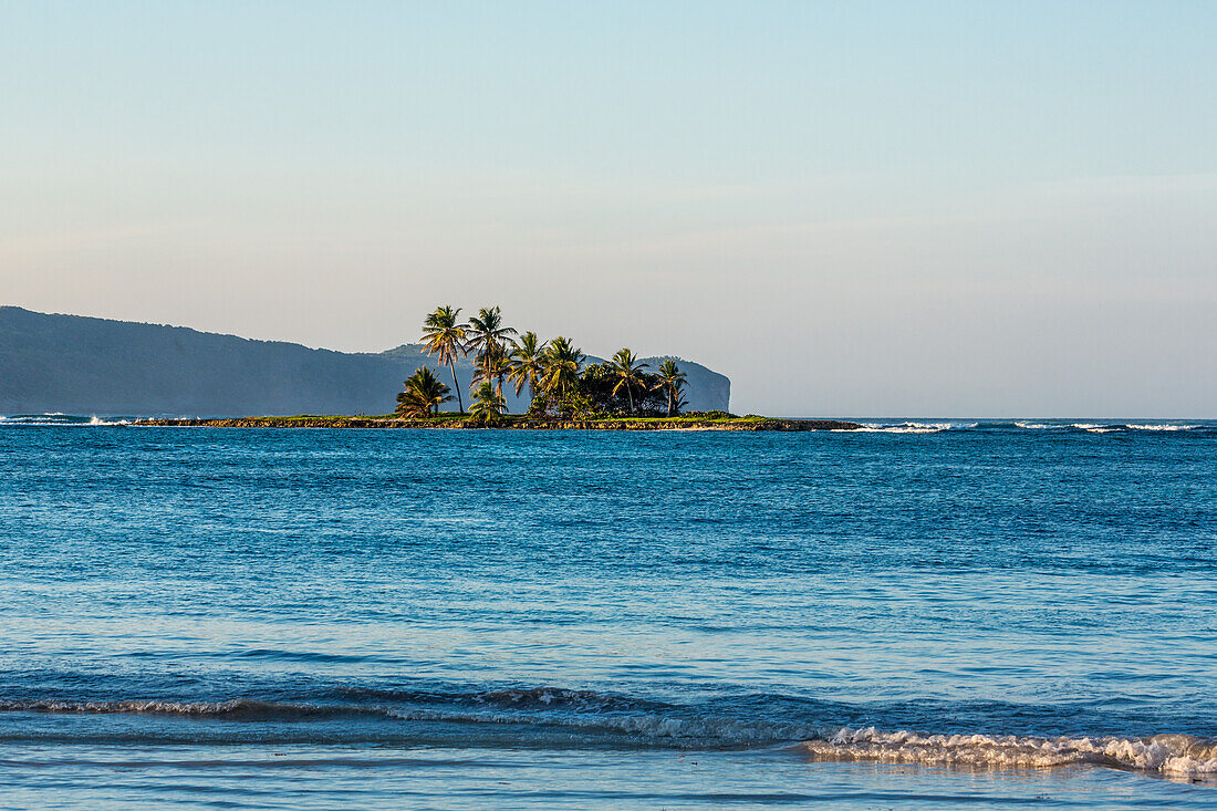 Kokosnusspalmen auf einer kleinen Insel in der Bahia de Las Galeras auf der Halbinsel Samana, Dominikanische Republik
