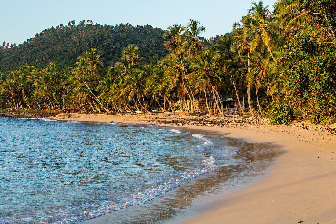 Palmen am Strand in der Nähe von Samana in der Dominikanischen Republik. Fischerboote warten am Sandstrand