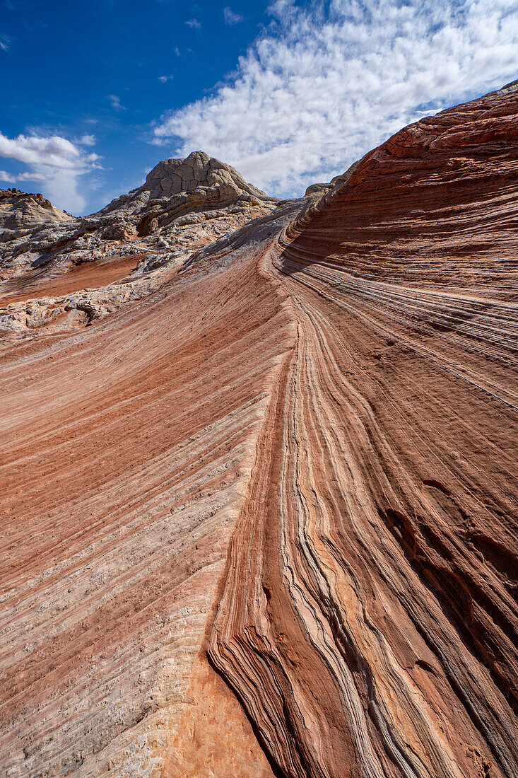 Erodierter Navajo-Sandstein in der White Pocket Recreation Area, Vermilion Cliffs National Monument, Arizona. Das Bild zeigt ein gutes Beispiel für die Querschichtung in den Sandsteinschichten.